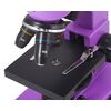 Микроскоп Levenhuk Rainbow 2L Amethyst\Аметист, Цвет: Аметист, фото , изображение 9