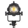 Осветитель cветодиодный GreenBean ZOOM 120BW LED, фото 