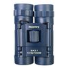 Бинокль Levenhuk Discovery Basics BB 8x21, фото , изображение 6