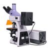 Микроскоп люминесцентный цифровой MAGUS Lum D400 LCD, фото , изображение 4