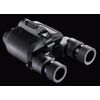 Бинокль-стабилископ Fujinon TS 12x28, фото , изображение 4