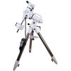 Монтировка Sky-Watcher EQ6-R SynScan GOTO со стальной треногой, фото 