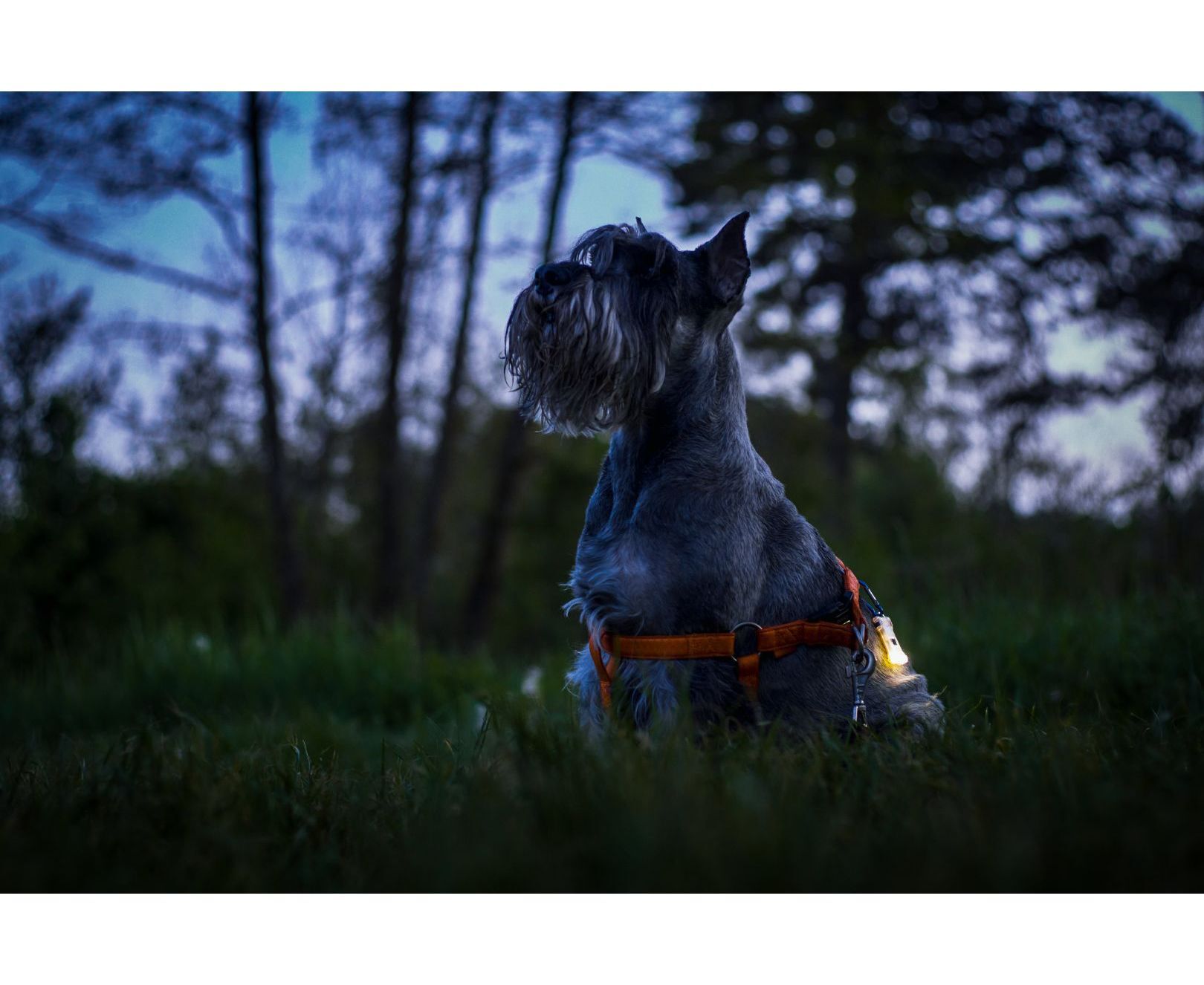 Фонарь Armytek Zippy Extended Set Grey, фото , изображение 7