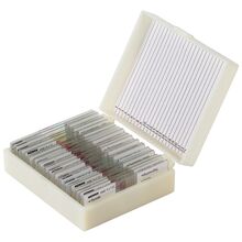 Набор микропрепаратов Konus 25: «Человеческое тело», фото 