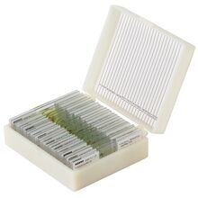 Набор микропрепаратов Konus 25: «Насекомые», фото 