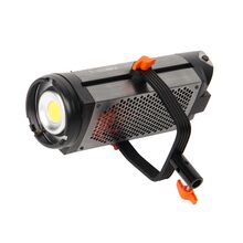 Осветитель светодиодный GreenBean SunLight PRO 300COB DMX, фото 