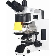 Микроскоп люминесцентный БиОптик C-500, фото 