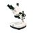 Микроскоп стереоскопический МСП-1 вар. 2, фото 