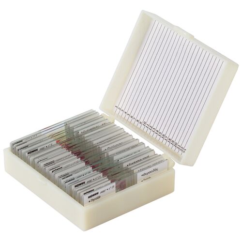 Набор микропрепаратов Konus 25: «Человеческое тело», фото 