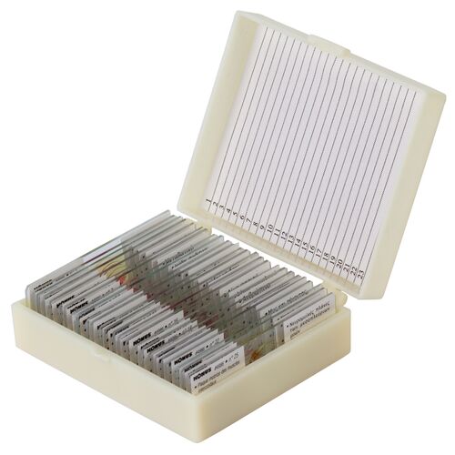 Набор микропрепаратов Konus 25: «Клетки и ткани животных», фото 