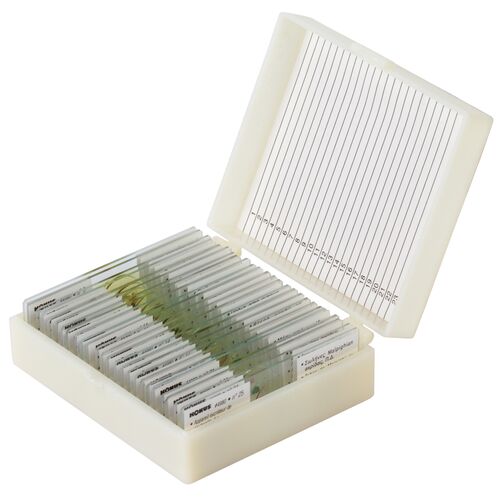 Набор микропрепаратов Konus 25: «Насекомые», фото 