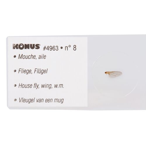 Набор микропрепаратов Konus 10: «Биология» (часть 1), фото , изображение 2