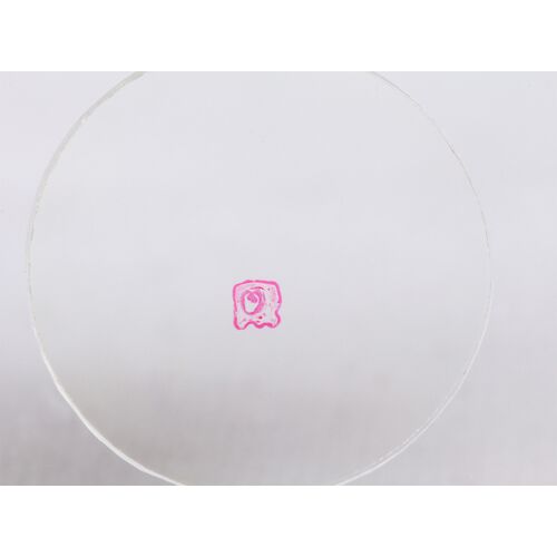 Набор микропрепаратов Konus 10: «Биология» (часть 1), фото , изображение 5