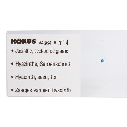 Набор микропрепаратов Konus 10: «Биология» (часть 2), фото , изображение 6