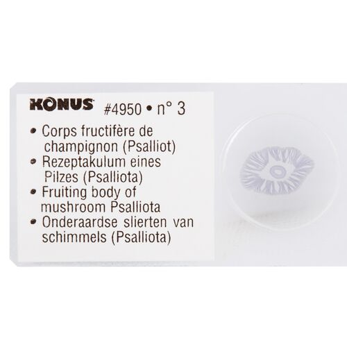 Набор микропрепаратов Konus 10: «Почва», фото , изображение 2