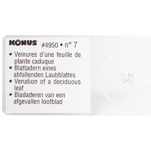 Набор микропрепаратов Konus 10: «Почва», фото , изображение 4