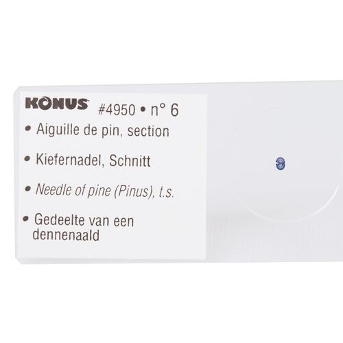 Набор микропрепаратов Konus 10: «Почва», фото , изображение 6