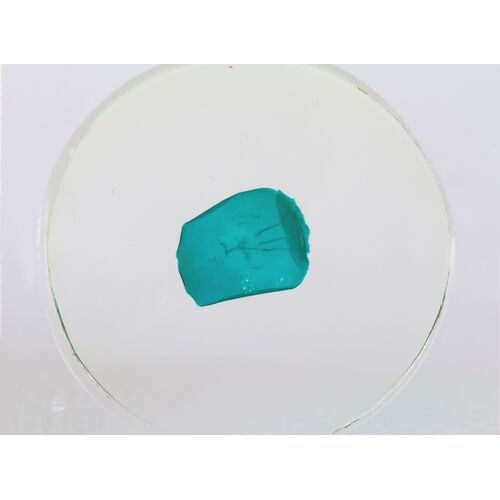 Набор микропрепаратов Konus 10: «Рыбы, лягушки и другие земноводные», фото , изображение 5