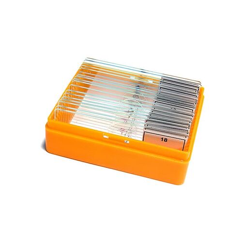 Набор готовых микропрепаратов Levenhuk N18 NG, фото , изображение 12