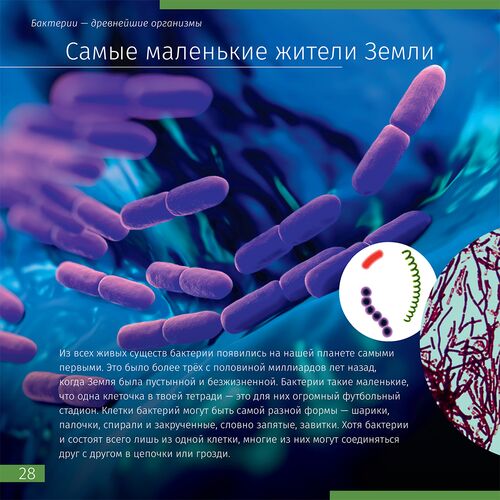 Книга знаний в 2 томах. «Космос. Микромир». Мягкая обложка, фото , изображение 11