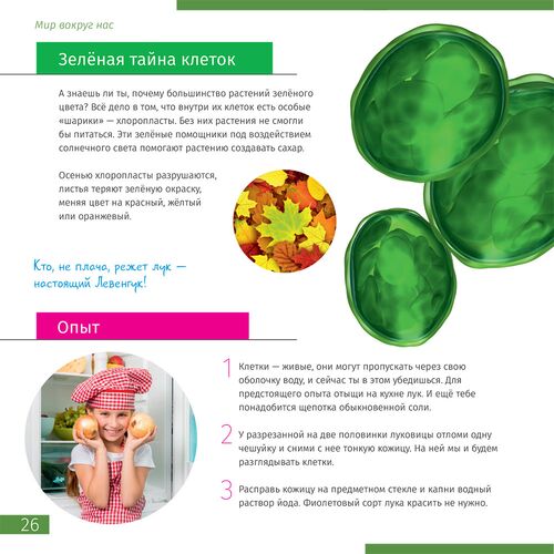 Микроскоп Discovery Micro Marine с книгой, Цвет: Marine, фото , изображение 14