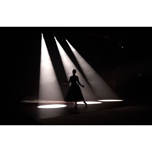 Проекционная насадка Godox VSA-26K с линзой 26°, фото , изображение 15