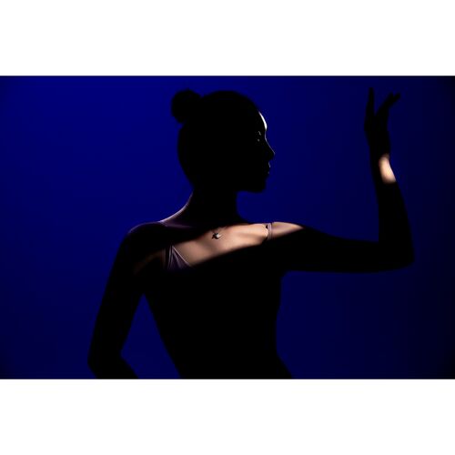 Проекционная насадка Godox VSA-19K с линзой 19°, фото , изображение 12