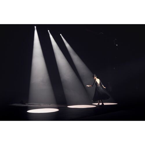 Проекционная насадка Godox VSA-19K с линзой 19°, фото , изображение 21