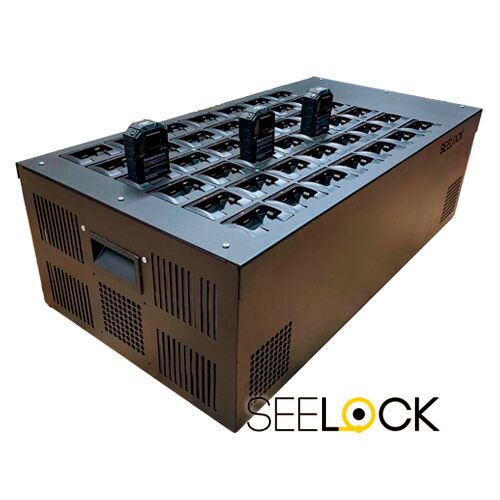 Терминал зарядки и архивации SEELOCK RS-42, фото 