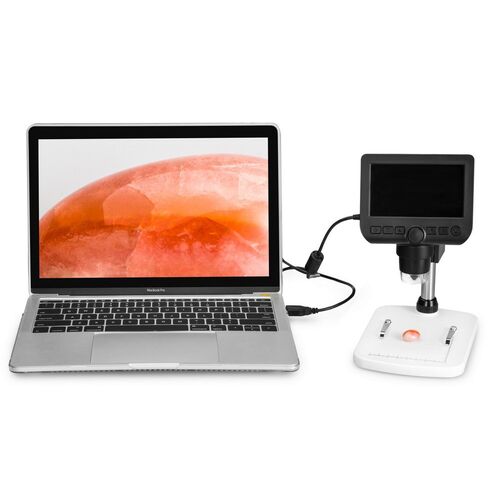 Микроскоп цифровой Levenhuk DTX 350 LCD, фото , изображение 14