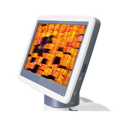 Микроскоп цифровой Levenhuk D95L LCD, монокулярный, фото , изображение 7