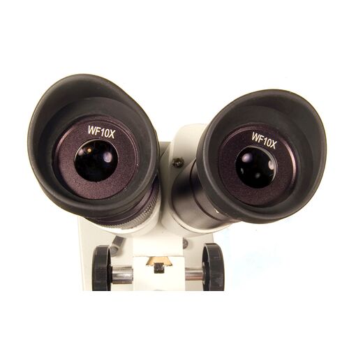 Микроскоп Levenhuk 2ST, бинокулярный, фото , изображение 4