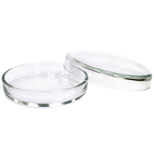 Чашка Петри 100х20 мм, стеклянная, с крышкой, фото 
