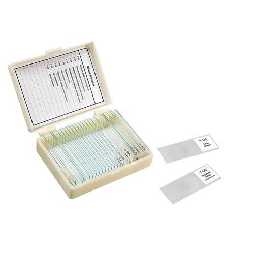 Микропрепараты для школы Общая Биология Микромед (9 обр.), фото 