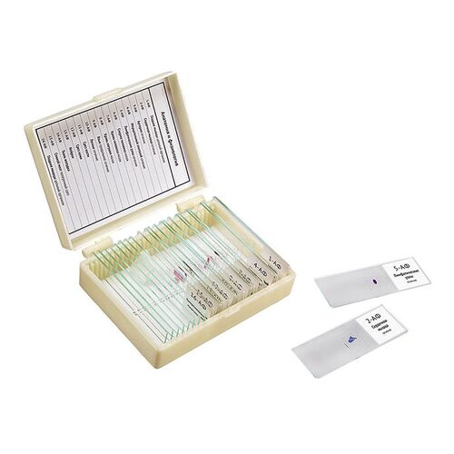 Микропрепараты для школы Анатомия и Физиология Микромед (16 обр.), фото 