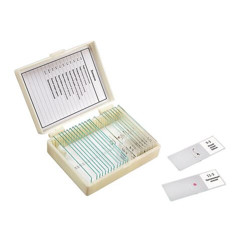 Микропрепараты для школы Зоология Микромед (11 обр.), фото 