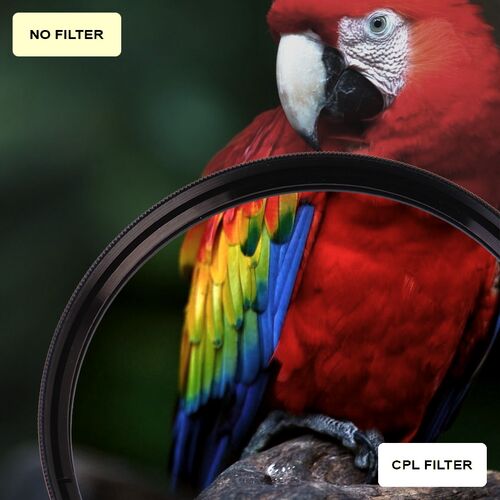 Поляризационный циркулярный фильтр для объектива CPL 55 mm, фото , изображение 3