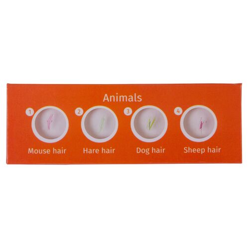 Набор микропрепаратов Levenhuk LabZZ CP24, существа и растения, фото , изображение 2