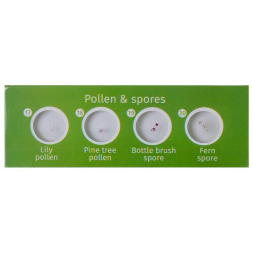 Набор микропрепаратов Levenhuk LabZZ CP24, существа и растения, фото , изображение 6