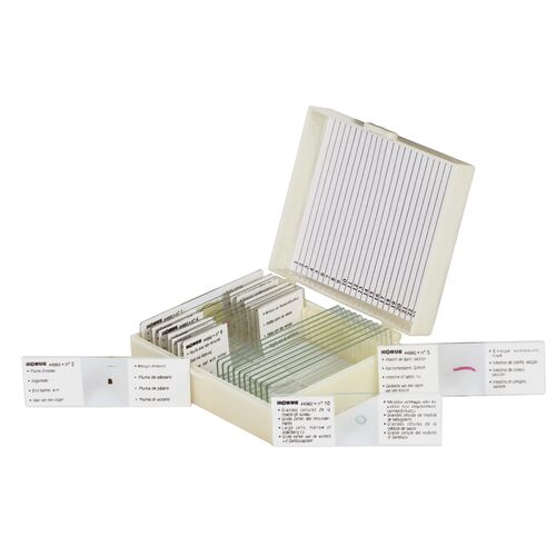 Набор микропрепаратов Konus 10: «Естественные науки», фото , изображение 2