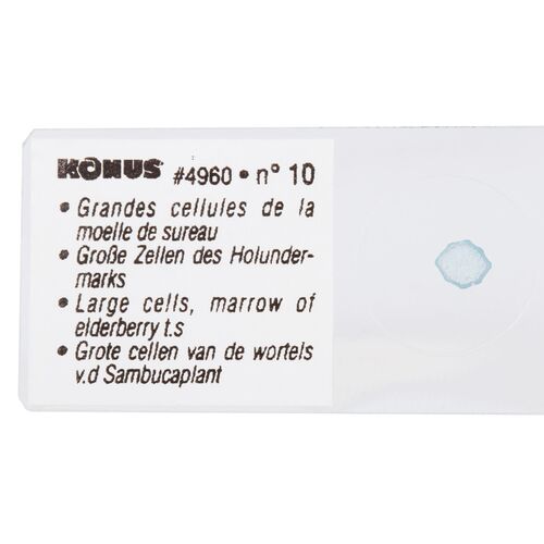 Набор микропрепаратов Konus 10: «Естественные науки», фото , изображение 3