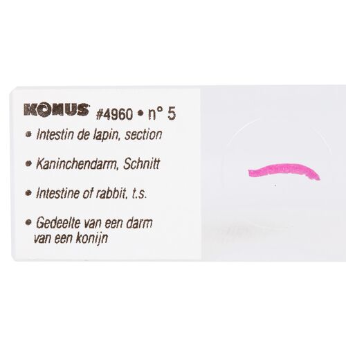 Набор микропрепаратов Konus 10: «Естественные науки», фото , изображение 5