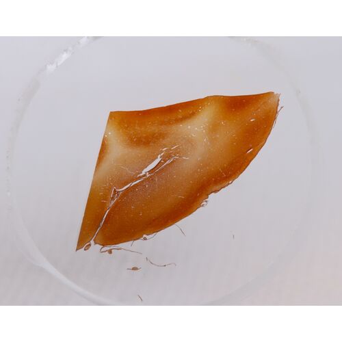 Набор микропрепаратов Konus 10: «Человеческое тело. Норма», фото , изображение 4