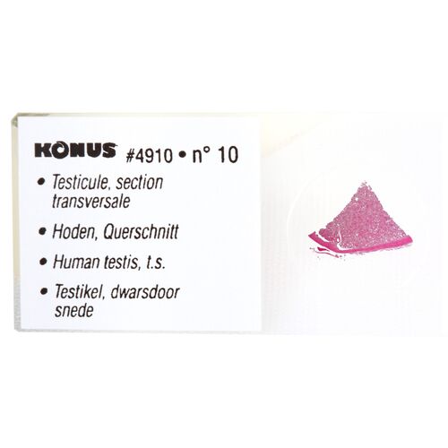 Набор микропрепаратов Konus 10: «Человеческое тело. Норма», фото , изображение 7