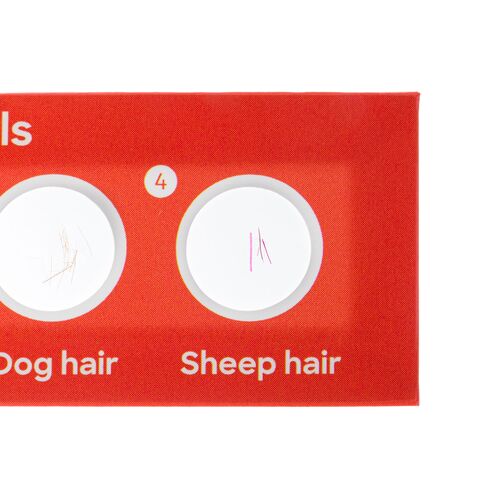 Набор микропрепаратов Discovery «Флора и фауна», 24 шт., фото , изображение 4