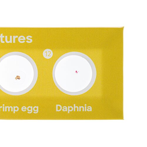 Набор микропрепаратов Discovery «Флора и фауна», 24 шт., фото , изображение 7