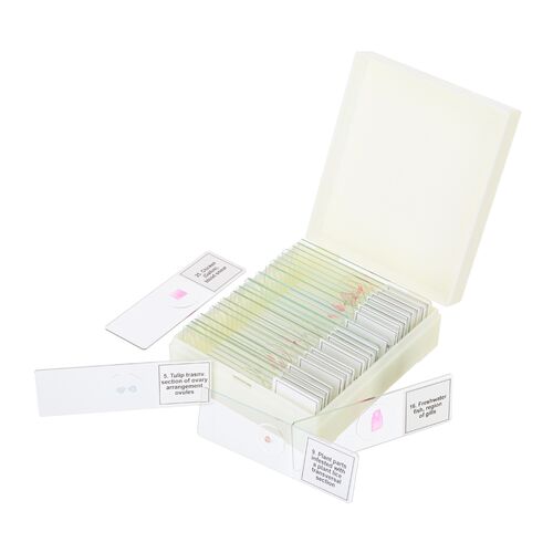 Набор микропрепаратов Discovery Prof DPS 25. «Биология, Птицы и др.», фото , изображение 5