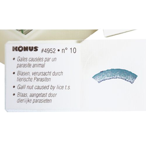 Набор микропрепаратов Konus 10: «Животные и растения. Мутации», фото , изображение 3