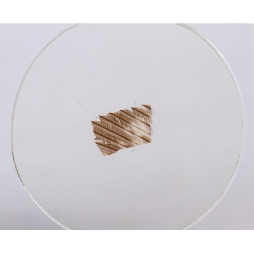 Набор микропрепаратов Konus 10: «Ящерицы, змеи и птицы», фото , изображение 6