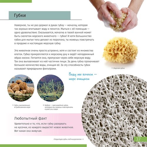 Книга знаний «Невидимый мир», фото , изображение 10